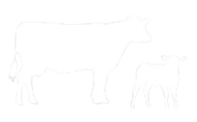 Calf-Icon